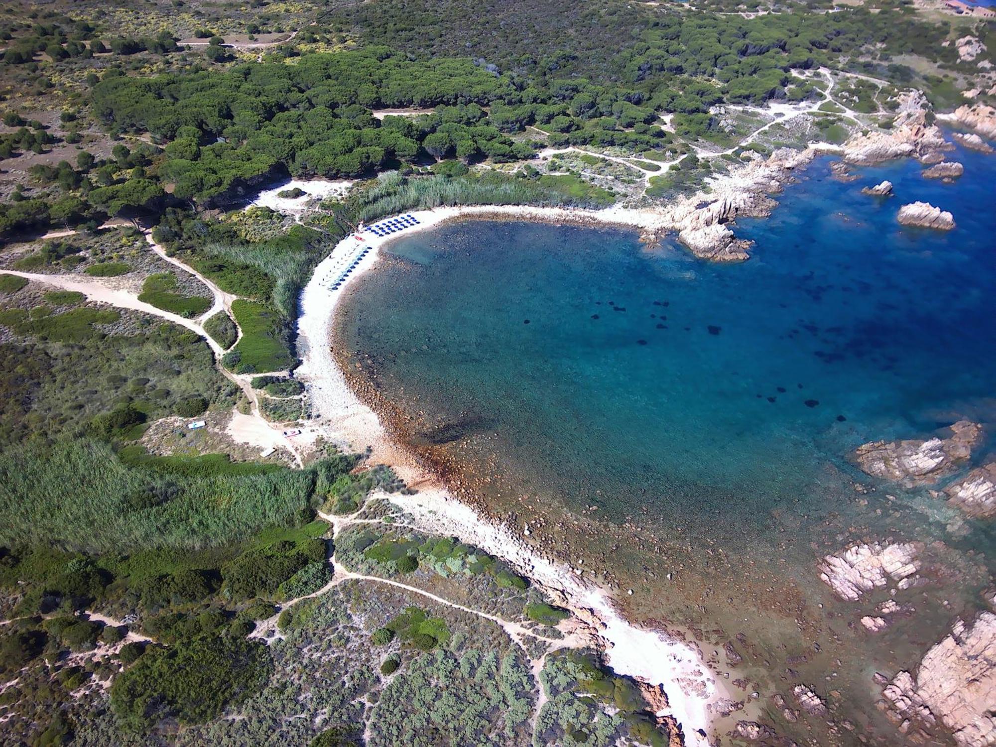 Gli Oleandri Di Calarossa - 5M Walk To The Beach Isola Rossa Exteriér fotografie