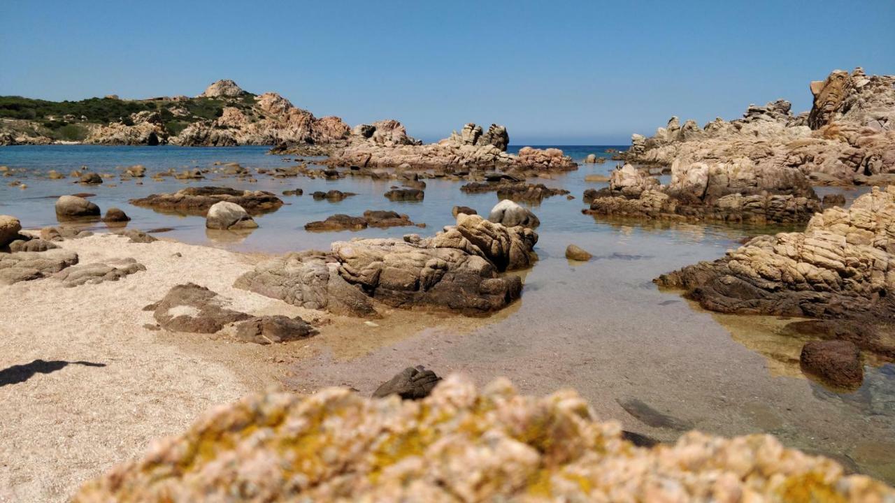 Gli Oleandri Di Calarossa - 5M Walk To The Beach Isola Rossa Exteriér fotografie
